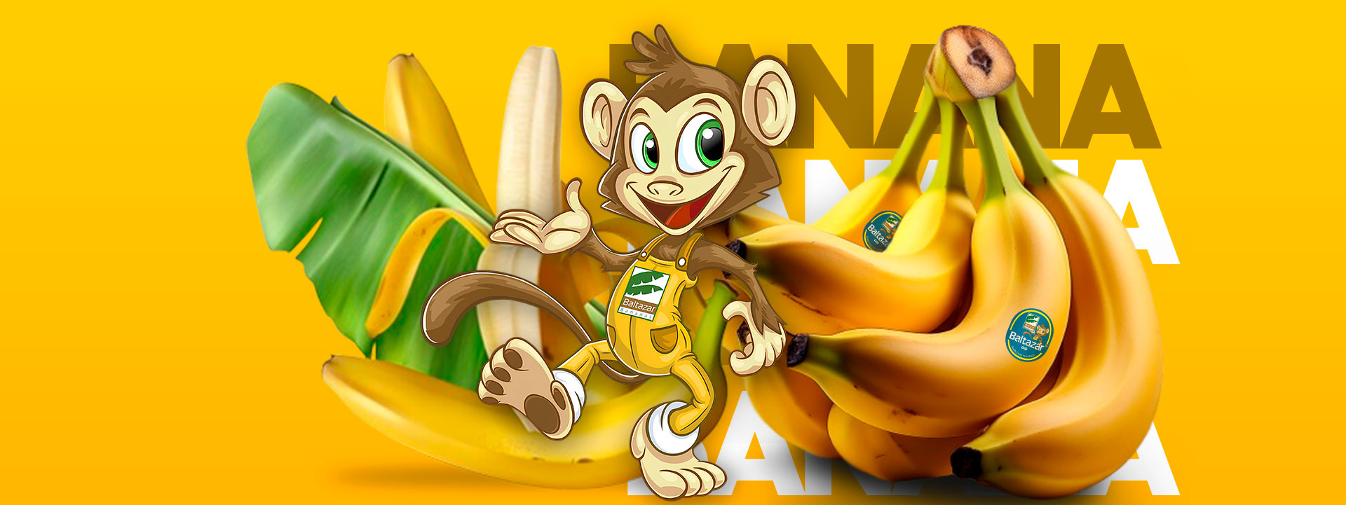 Baltazar Bananas | Produção e Distribuição de Frutas