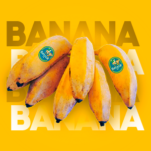 Banana Figo em Taubaté | Baltazar Bananas